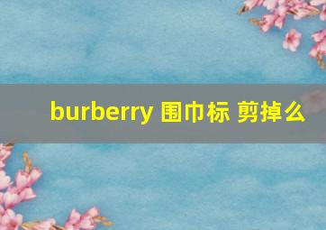 burberry 围巾标 剪掉么